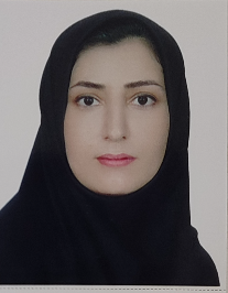 خدیجه سلیمانی