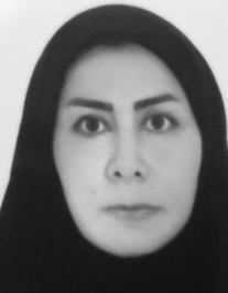 سودابه سلیمانی ده دیوان