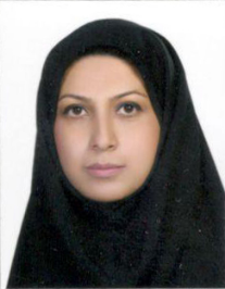 وحیده مفید