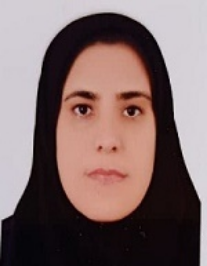 پروانه کرمی