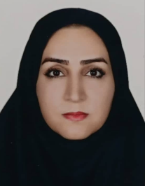 مهدیم ملکزاده
