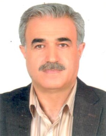 ابراهیم احمدی نقدهی