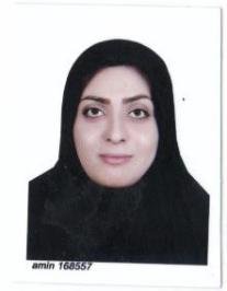 آمنه سلمانی