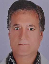 سیاوش باقری