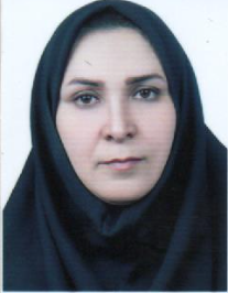 رقیه حمیدی