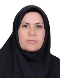 عفت حامد سردار