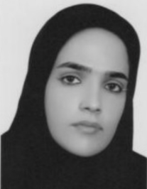 مینا خیری
