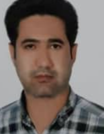 حامد افضلی گروه