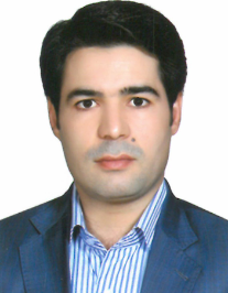 سید جواد رضوی