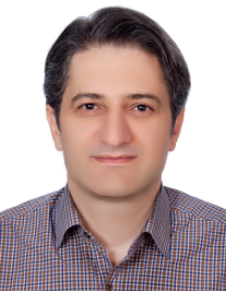 سید مرتضی حسینی نسب