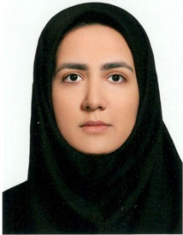 ساحل ایجازی
