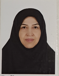 زینب دامغانیان