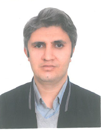 مهدی ولی زاده