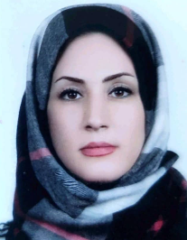 پذیره هدایتی