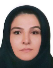 زینت عبدیوسفخانی