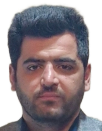 فردین میرزایی