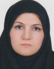 مینا علی دادی