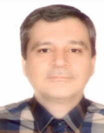 سید مهران حسینی محالی