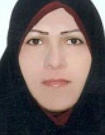 فخرالملوک برادران