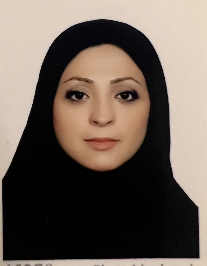 مهسا سادات حایری میبدی